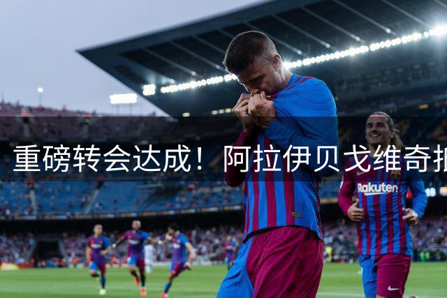 重磅转会达成！阿拉伊贝戈维奇抵达都灵接受尤文体检